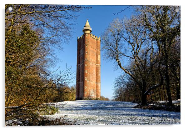 King Alfreds Tower, Stourton, Wiltshire, UK Acrylic by Andrew Harker