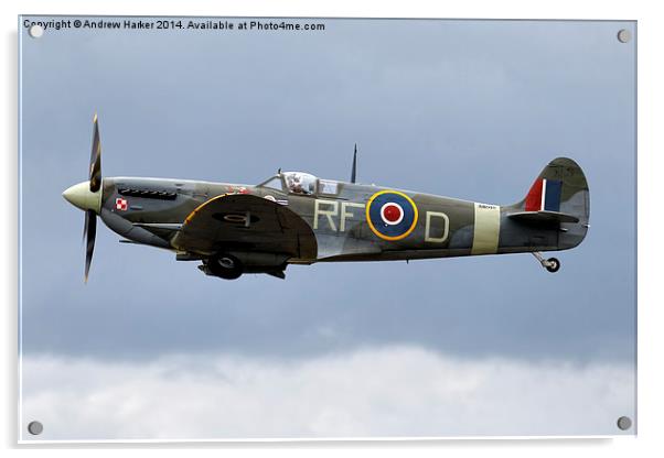 Supermarine Spitfire Mk Vb  Acrylic by Andrew Harker