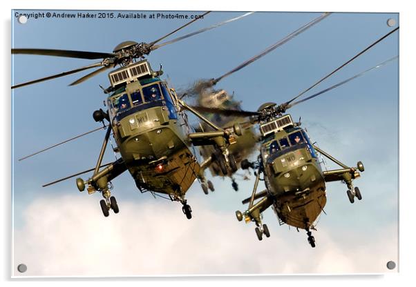 Westland Sea King HC.4 Helicopters  Acrylic by Andrew Harker