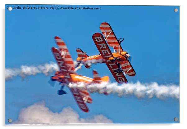 The Breitling Wingwalkers Acrylic by Andrew Harker