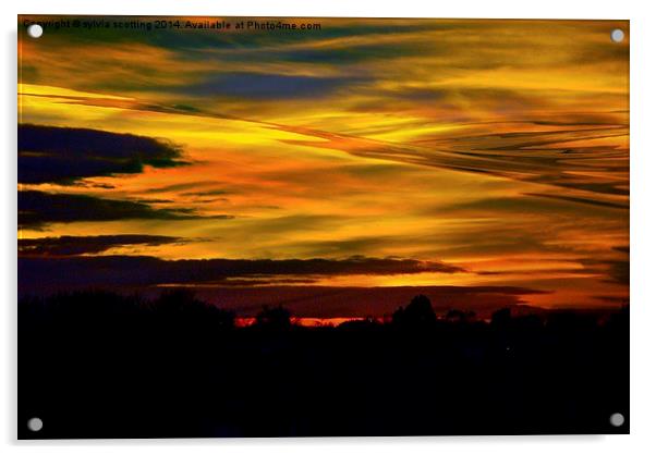  Stunning Sunset Acrylic by sylvia scotting