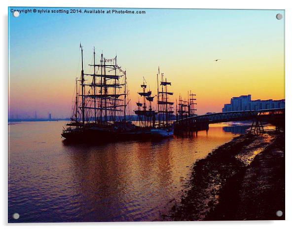  Tall Ships festival at sunrise Acrylic by sylvia scotting