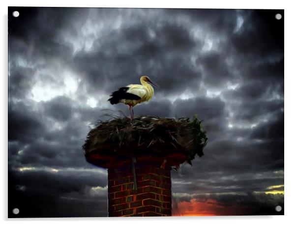  Nesting stork in Germany  Acrylic by sylvia scotting
