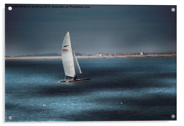  Sailing Acrylic by sylvia scotting