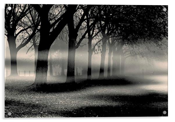  Mist and Mystery  Acrylic by sylvia scotting