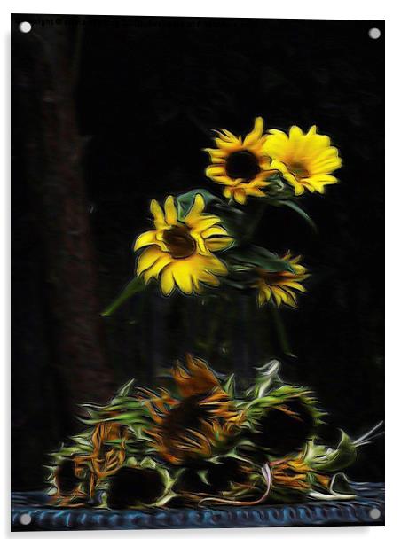  Sunflowers  Acrylic by sylvia scotting