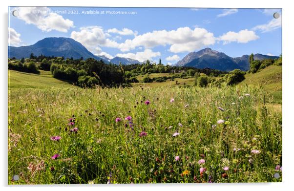 Summer Alpine Flower Meadow Acrylic by Pearl Bucknall