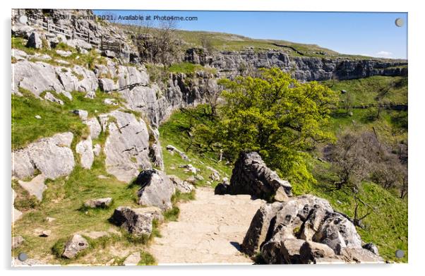 Pennine Way Path by Malham Cove Yorkshire Dales Acrylic by Pearl Bucknall