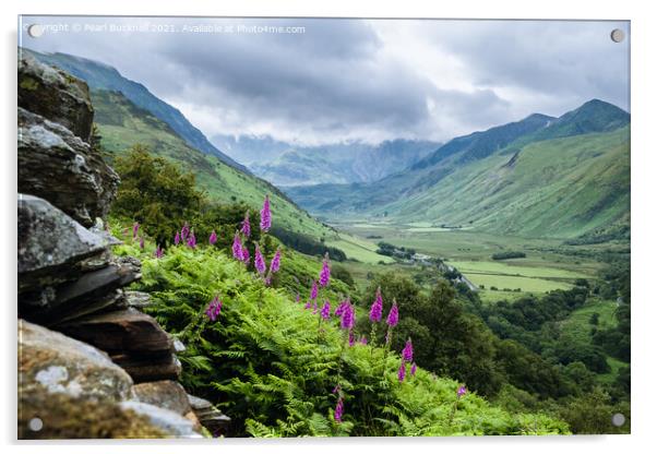 Nant Ffrancon Snowdonia Landscape Wales Acrylic by Pearl Bucknall