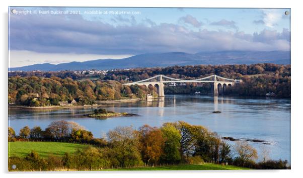 Menai Strait and Suspension Bridge Anglesey Wales Acrylic by Pearl Bucknall