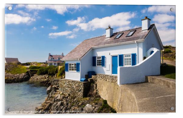 Rhoscolyn Cottage Anglesey Wales Acrylic by Pearl Bucknall