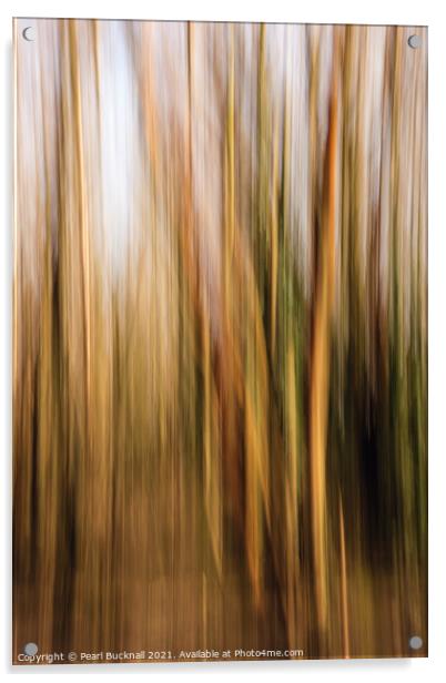 Blurred Woodland Trees Abstract Acrylic by Pearl Bucknall