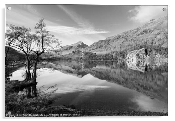 Llyn Gwynant Snowdonia Wales Black and white Acrylic by Pearl Bucknall