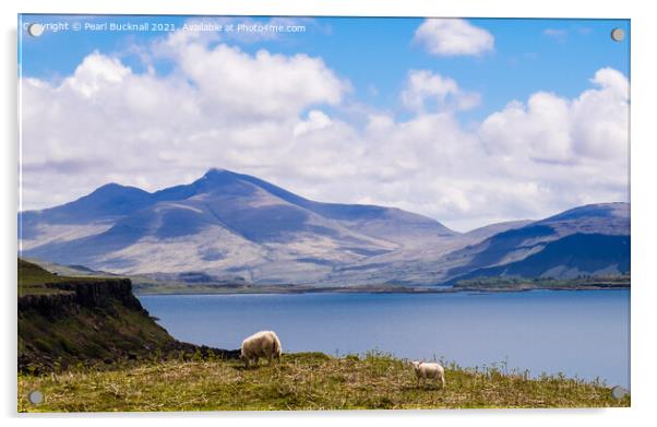 Ben More across Loch Tuath Isle of Mull Acrylic by Pearl Bucknall