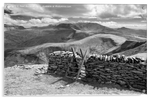Snowdon from Moel Eilio Landscape Black and White Acrylic by Pearl Bucknall