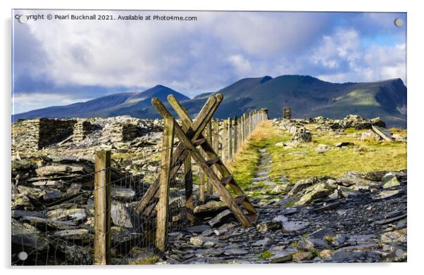 Mountain Walk Snowdonia Landscape Wales Acrylic by Pearl Bucknall
