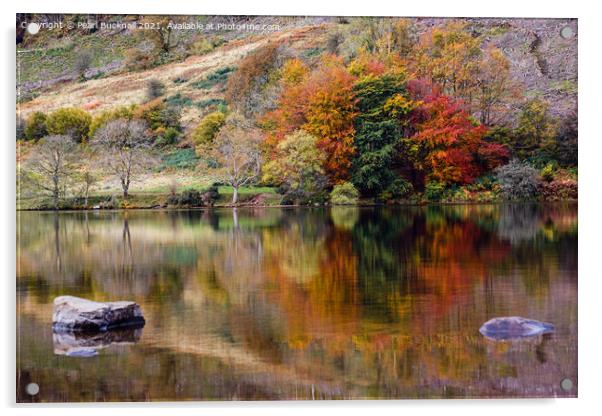 Autumn Reflections in Llyn Geirionydd Lake Acrylic by Pearl Bucknall