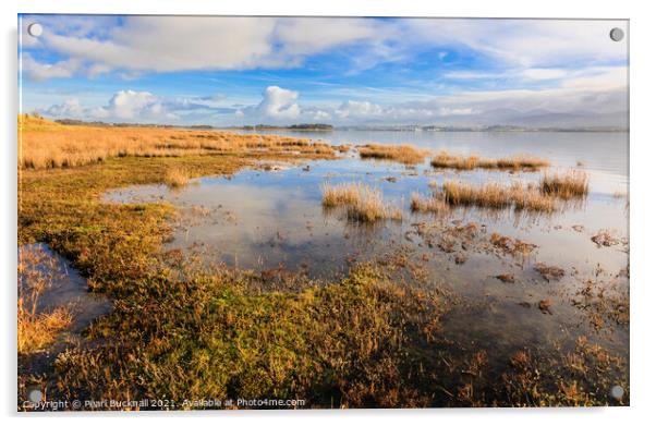 Newborough Warren and Menai Strait Anglesey Acrylic by Pearl Bucknall