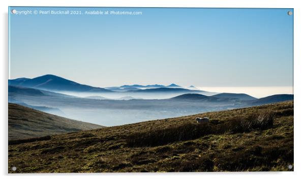 Snowdonia Hills Cloud Inversion Wales Acrylic by Pearl Bucknall