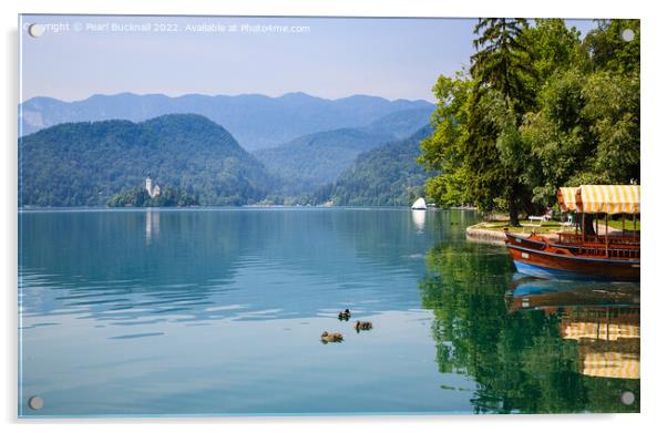 Blue Lake Bled Slovenia Acrylic by Pearl Bucknall