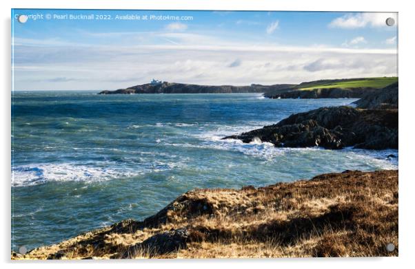 Rocky Coastline on Anglesey Wales Acrylic by Pearl Bucknall