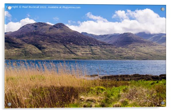 Loch Na Keal Isle of Mull Scotland Acrylic by Pearl Bucknall