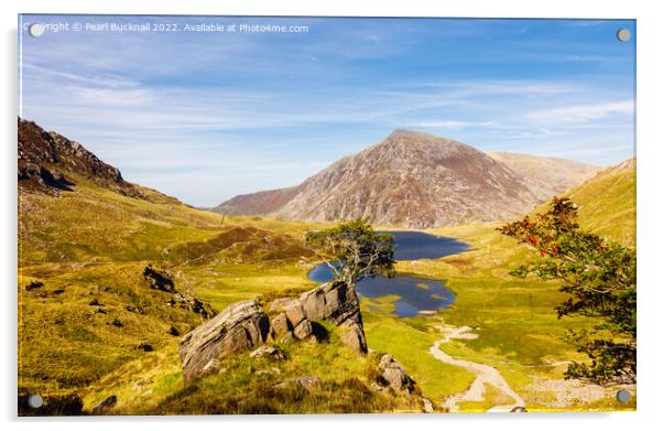 Cwm Idwal Snowdonia Wales Acrylic by Pearl Bucknall