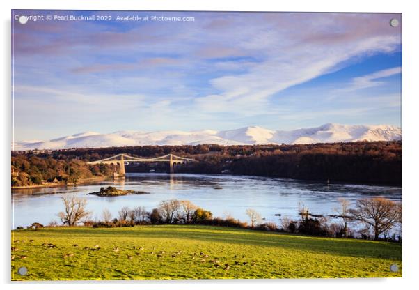 Menai Strait and Suspension Bridge Anglesey Wales Acrylic by Pearl Bucknall