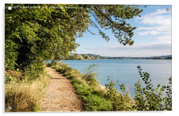 Blagdon Lake Mendips Somerset Acrylic by Pearl Bucknall