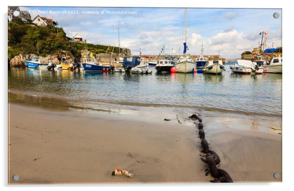 Newquay Beach and Harbour Cornwall Coast Acrylic by Pearl Bucknall