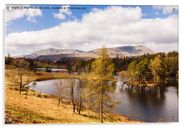 Tarn Hows Lake District Landscape Cumbria Acrylic by Pearl Bucknall