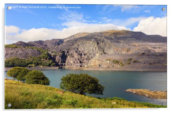 Elidir Fawr across Llyn Peris Snowdonia Acrylic by Pearl Bucknall