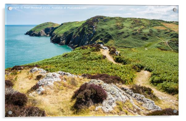 Coast Path Anglesey Wales Acrylic by Pearl Bucknall