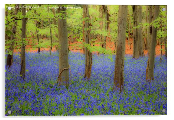 Dreamy English Bluebell Wood Acrylic by Pearl Bucknall