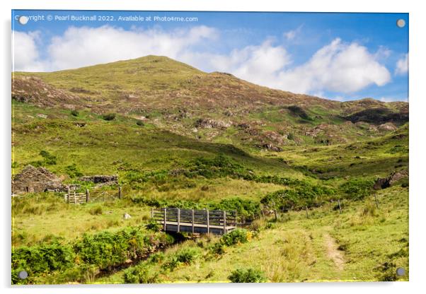 Yr Aran Mountain Snowdonia  Acrylic by Pearl Bucknall