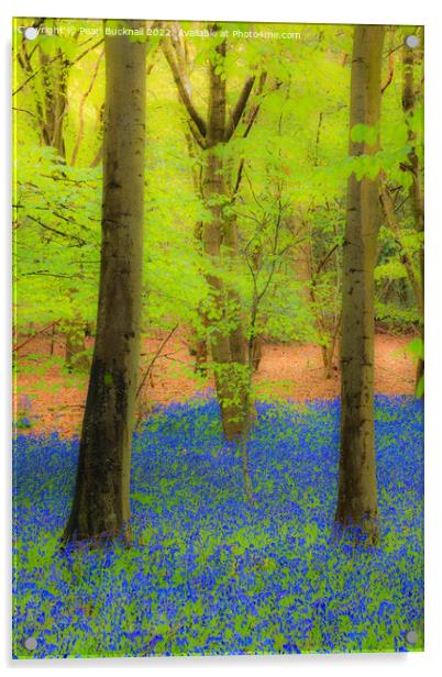 Dreamy Bluebell Wood Outdoor Nature Acrylic by Pearl Bucknall