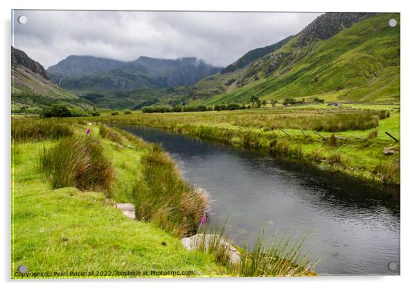 Afon Ogwen in Nant Ffrancon Valley Snowdonia Acrylic by Pearl Bucknall