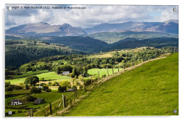 Welsh Countryside Landscape Wales Acrylic by Pearl Bucknall
