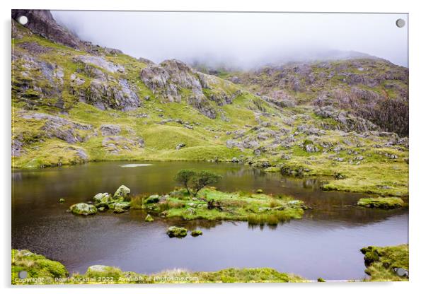 Llyn Glas Lake Llanberis Snowdonia Acrylic by Pearl Bucknall