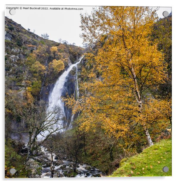 Aber Falls Waterfall in Autumn Snowdonia Acrylic by Pearl Bucknall