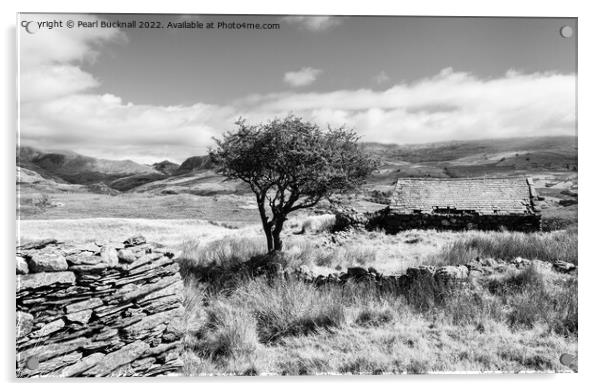 Cwm Pennant Snowdonia Landscape Black and White Acrylic by Pearl Bucknall