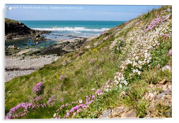 Summer Flowers at Cable Bay Anglesey Coast Acrylic by Pearl Bucknall