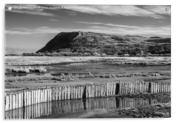 Llanfairfechan Conwy Wales Coast Black and White Acrylic by Pearl Bucknall