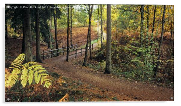 Alice Holt Woodland Path in Autumn panoramic Acrylic by Pearl Bucknall