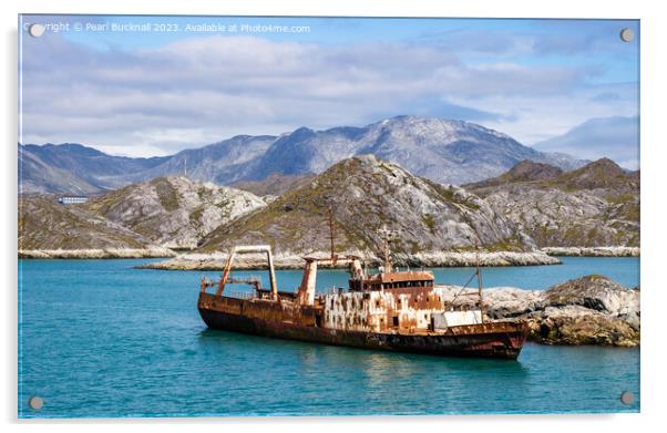 Ship Wreck Greenland Coast Acrylic by Pearl Bucknall