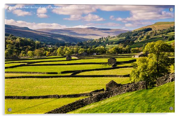 Swaledale Yorkshire Dales English Countryside Acrylic by Pearl Bucknall