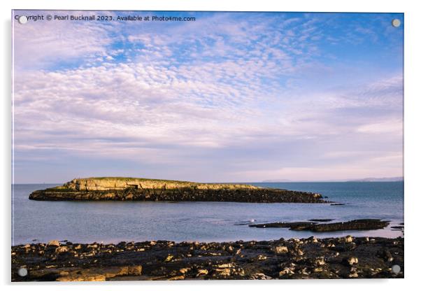 Ynys Moelfre Island Anglesey Seascape Acrylic by Pearl Bucknall