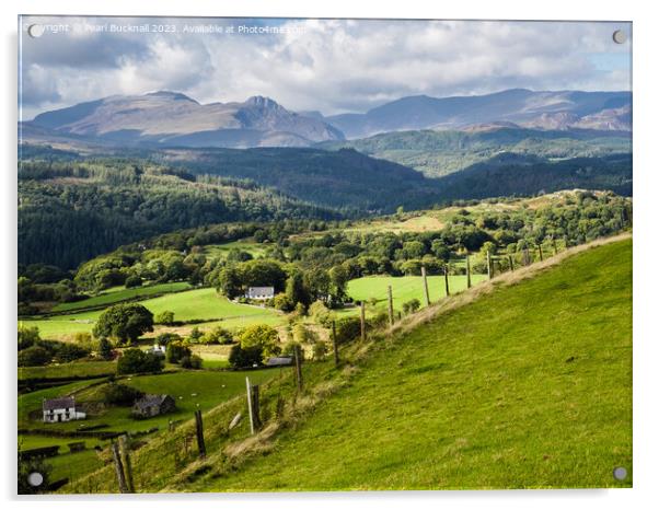 Welsh Country Landscape Wales Acrylic by Pearl Bucknall