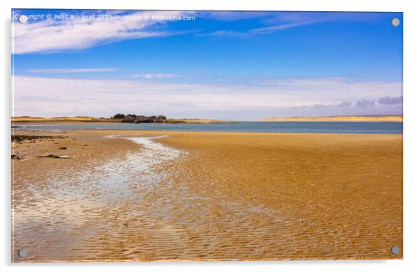 Sandy Beach Menai Strait Wales Coast  Acrylic by Pearl Bucknall