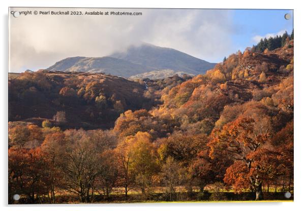 Moel Siabod Snowdonia in Autumn Acrylic by Pearl Bucknall